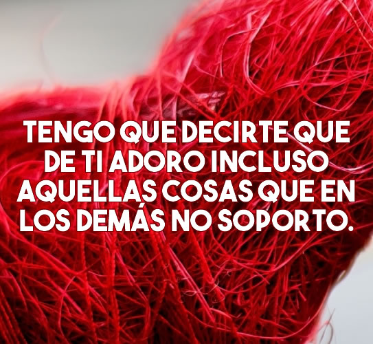 Amor sin condiciones