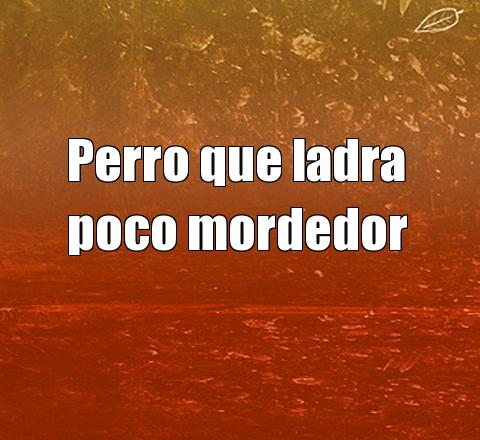 Perro ladrador poco mordedor