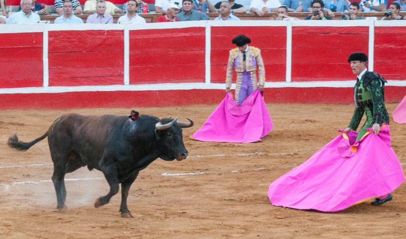 Corrida de toros