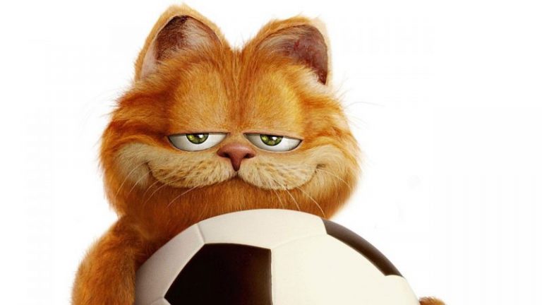 Gatos De La Raza De Garfield