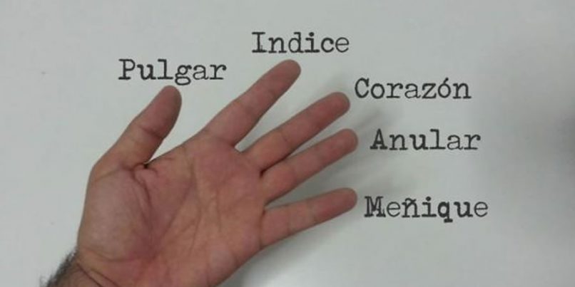 Nombres de los dedos de la mano