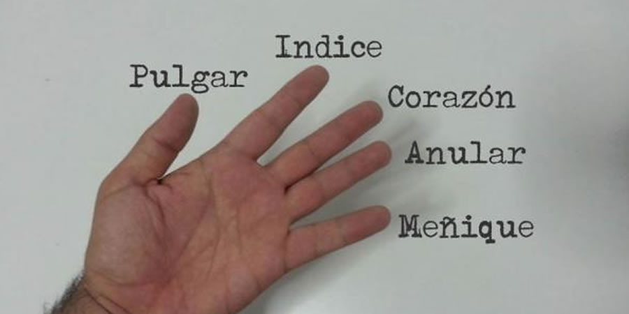 ¿Como se llaman los dedos de la mano?