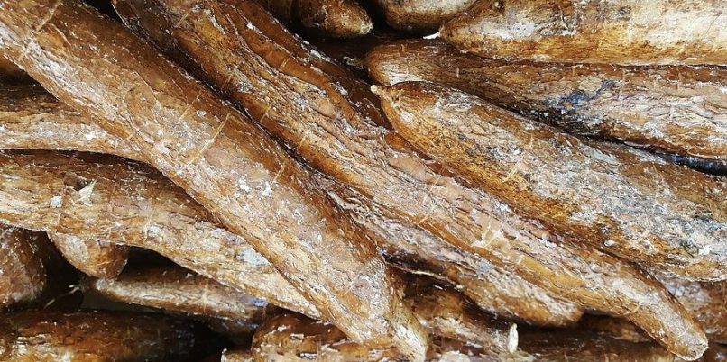 Yuca