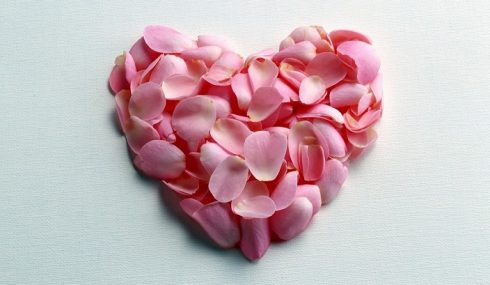 Corazón hecho con pétalos de rosa