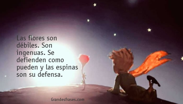 Las flores y el Principito