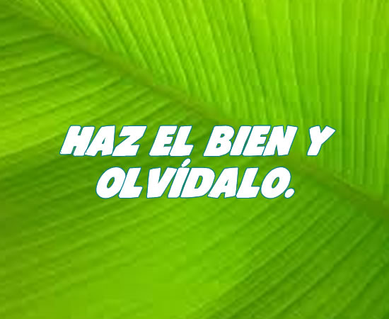 Haz el bien