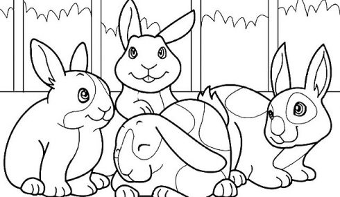 Dibujos conejos para colorear