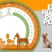 Calculadora de la edad humana de los perros