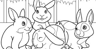 Dibujos conejos para colorear